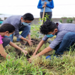 México conmemora el día del árbol con reforestaciones
