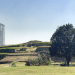 Sur de la Ciudad de México: en la mira de los desarrollos inmobiliarios
